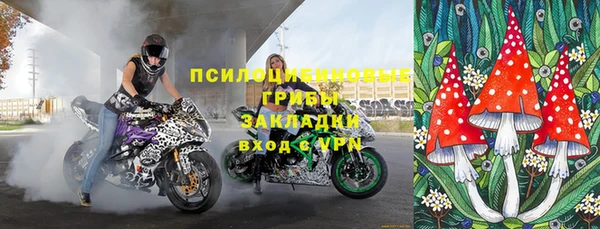 гидропоника Алзамай