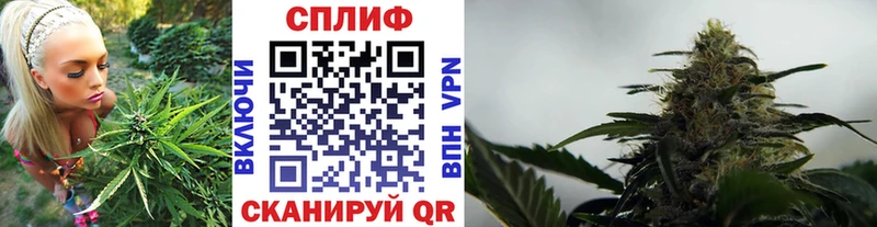 МАРИХУАНА ГИДРОПОН  mega ссылки  Сольвычегодск  даркнет сайт 